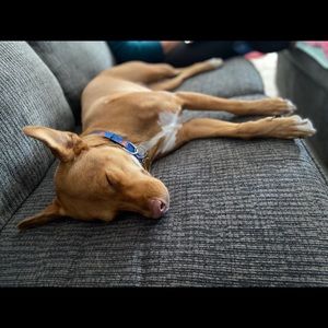 Meet your Posher, Rebecca